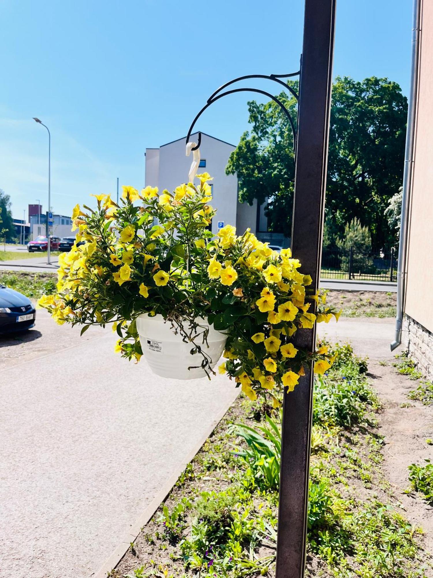 Tallinnhousing For 4 With Free Parking